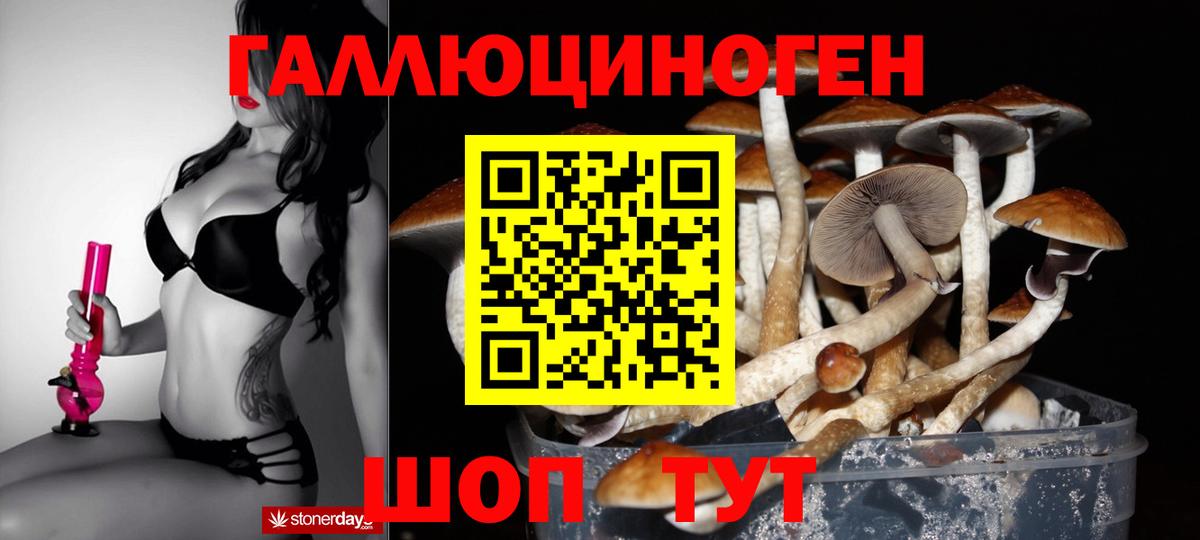 Бирск  Псилоцибиновые грибы GOLDEN TEACHER  Галлюциногенные грибы Cubensis  Вход с VPN 
